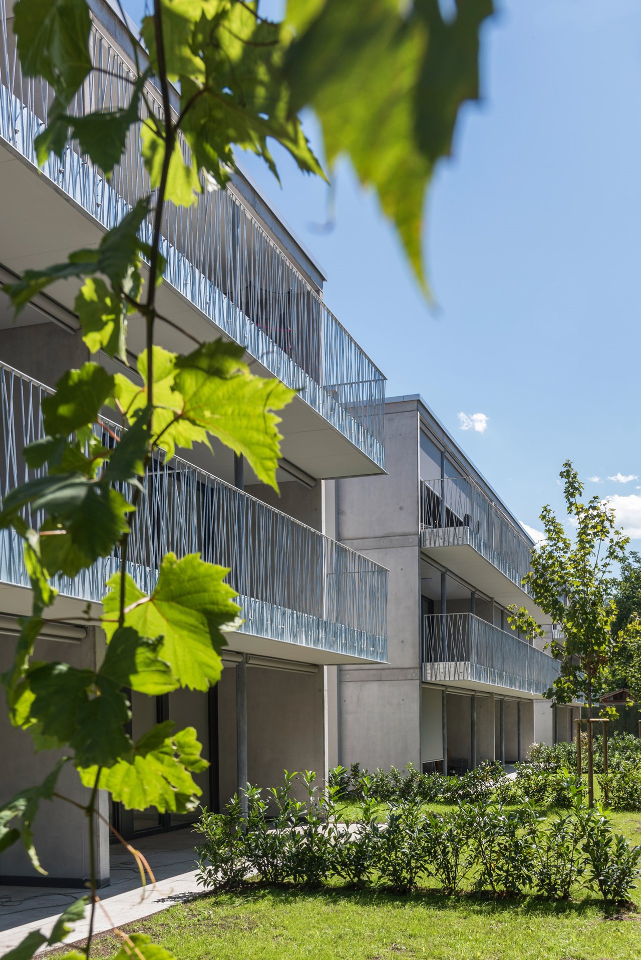 Wohnbau, Bifangstraße, Feldkirch - Pozemné stavby Wohnbau, Bifangstraße, Feldkirch - Pozemné stavby